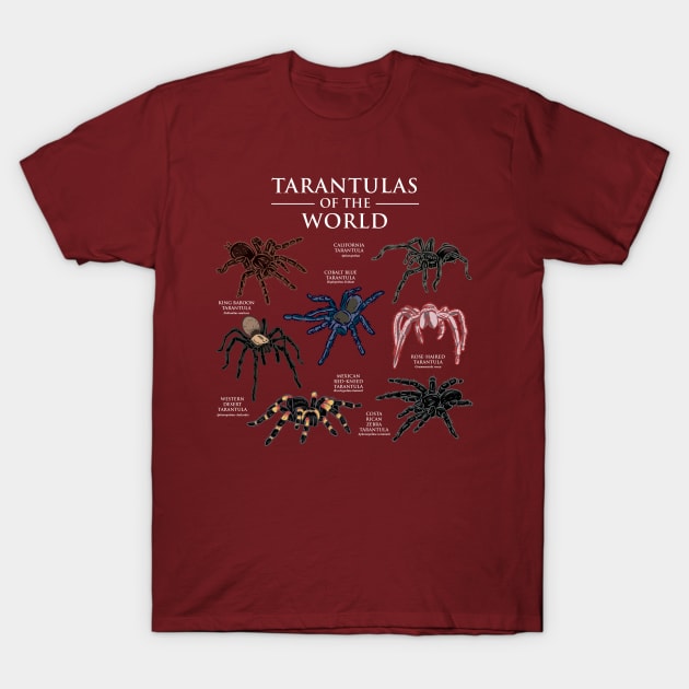 Tarantulas Of The World T-Shirt by maxdax